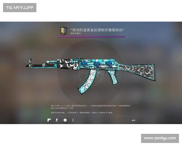 当前CSGO皮肤交易市场最佳选择推荐及投资指南