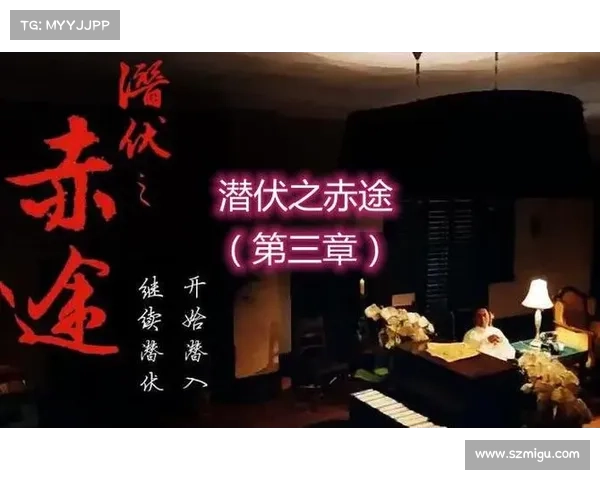 掌握潜伏之赤途全攻略：从入门到精通的实战技巧与策略